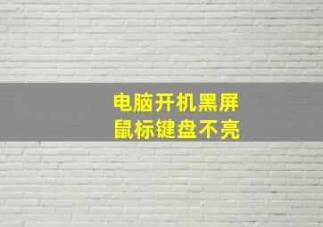 电脑开机黑屏 鼠标键盘不亮